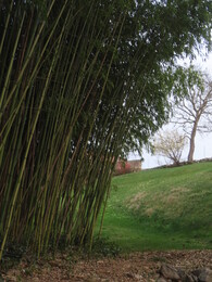 ���������� ����