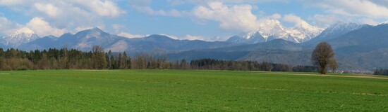 ����� ����� ���������