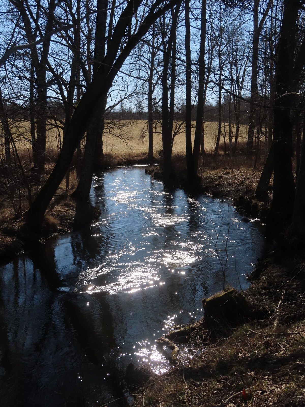 ���� Fiskars