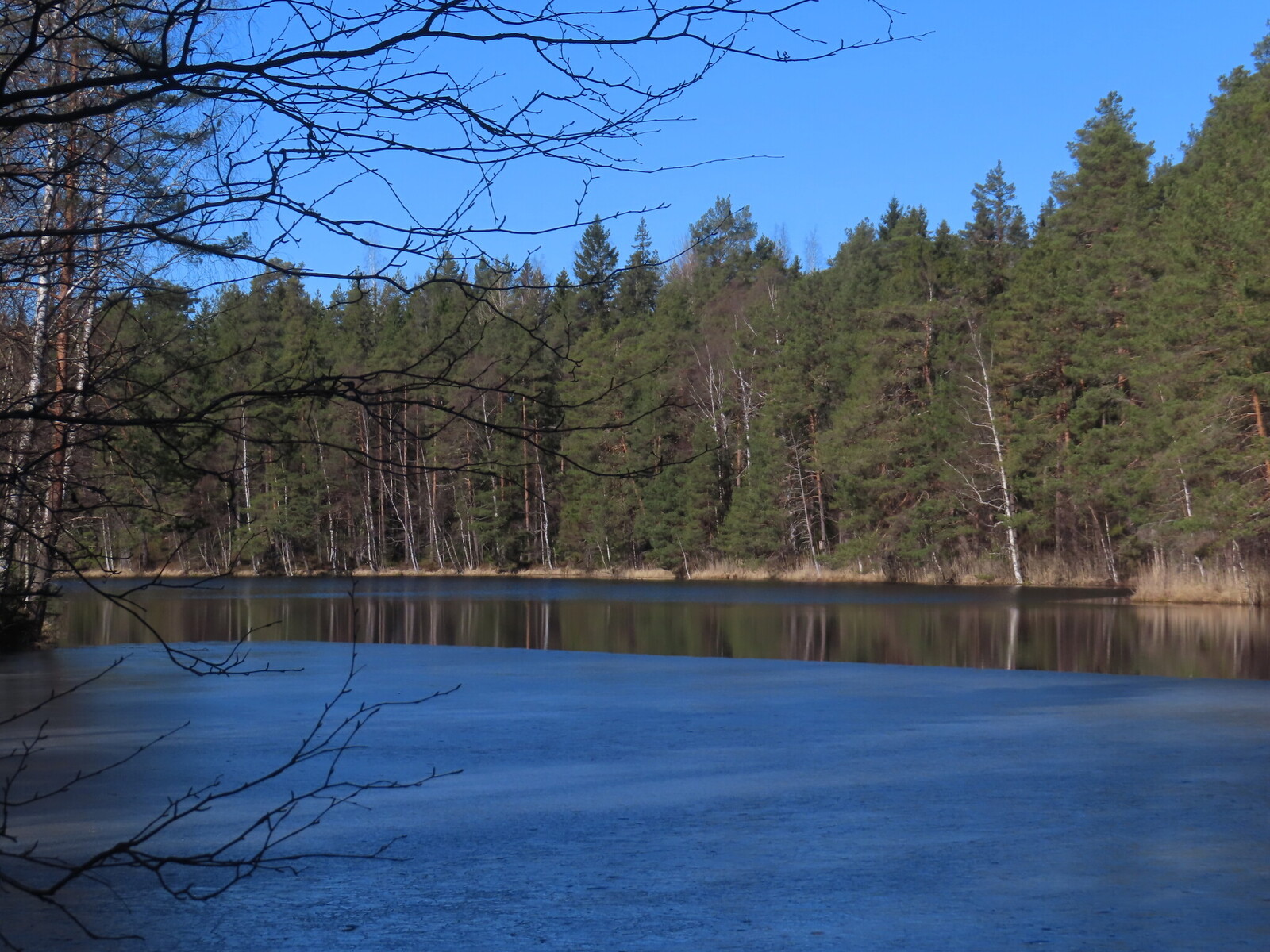 �� ������ ������ ��� ���� ���