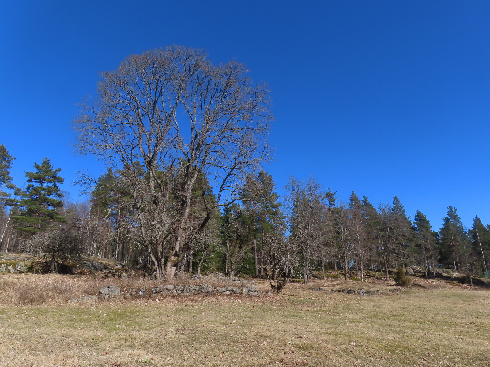 ������� Malmberg