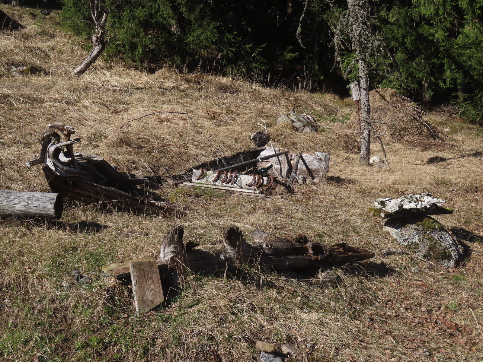 ���, ��� �������� �� ���� ������� ����������� � ������