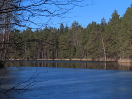 �� ������ ������ ��� ���� ���