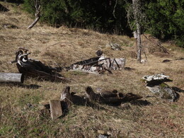 ���, ��� �������� �� ���� ������� ����������� � ������