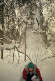 Паша стряхивает снег с елок