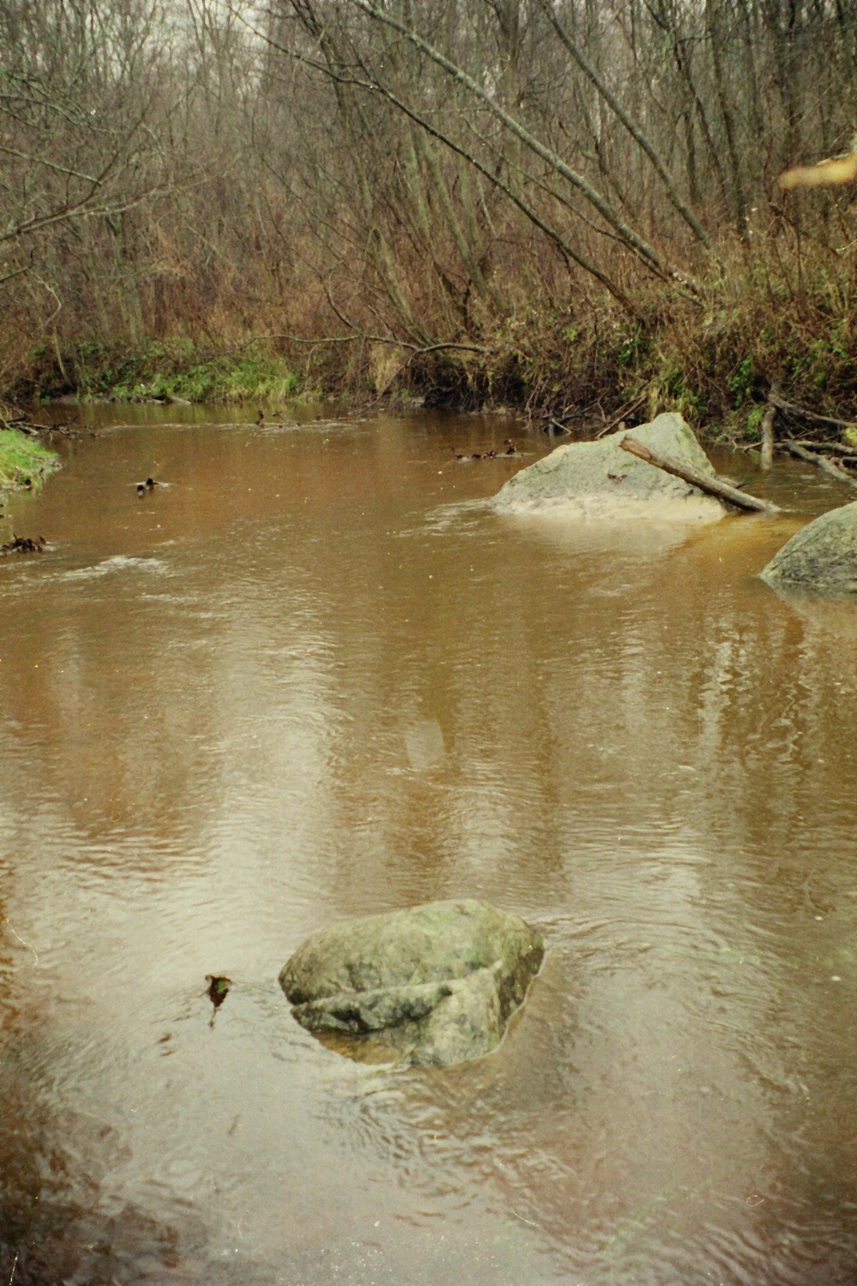   ( 2002      )
