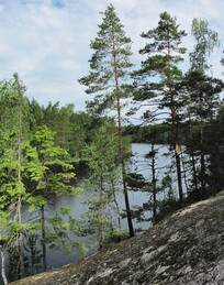 Hynkanlampi