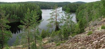 Kuutinlahti
