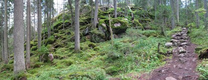    Nuuksio