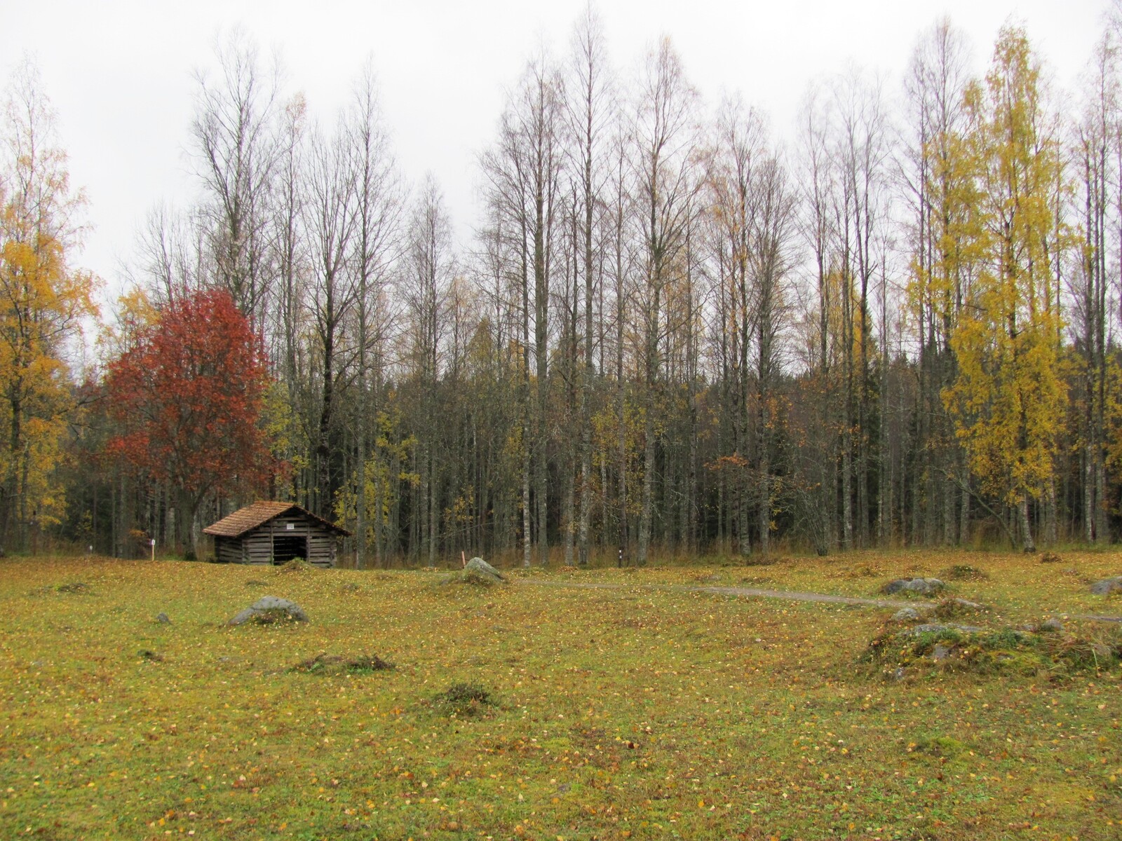 Mäkränaho