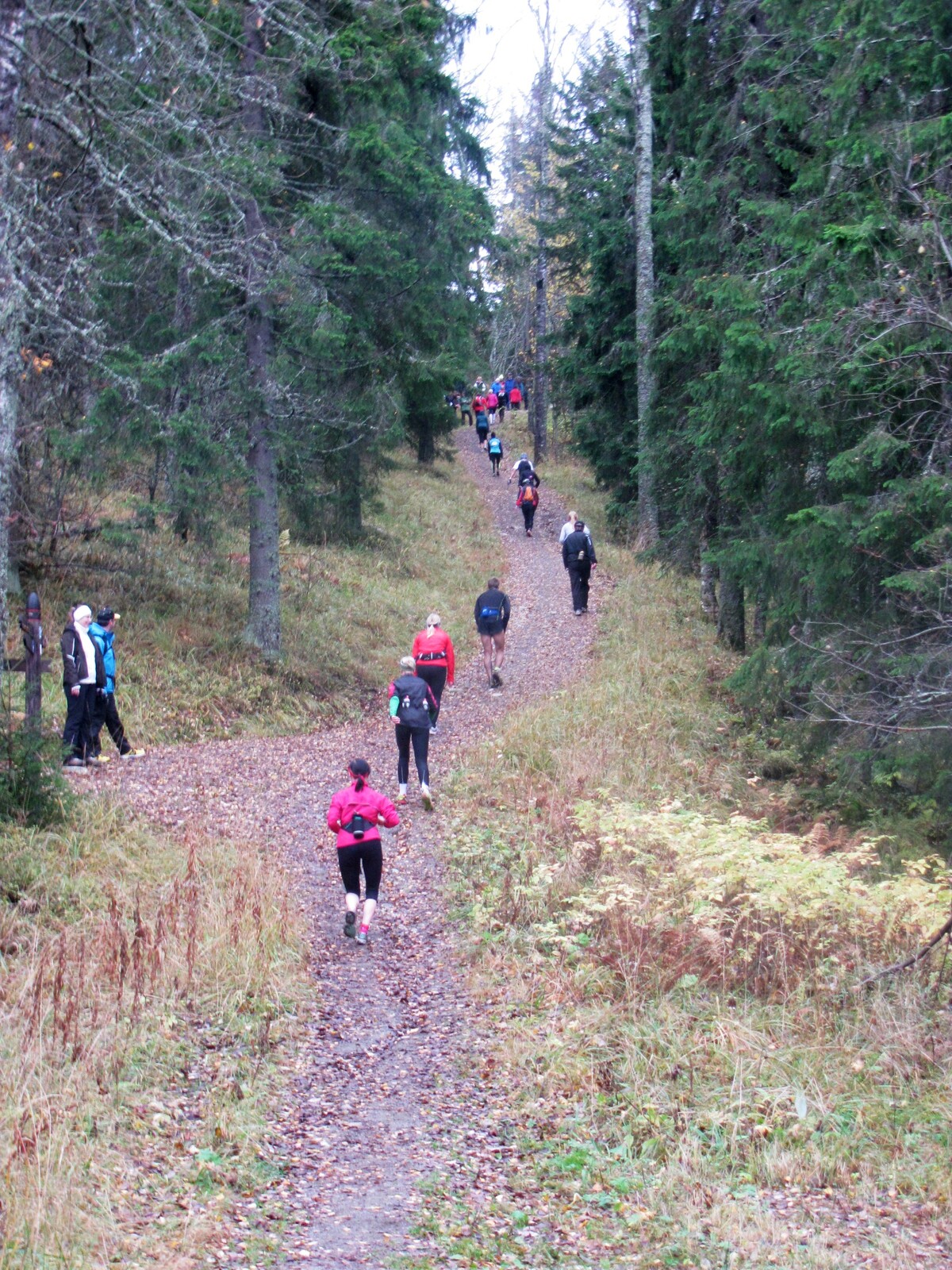 end of the 1st loop, crowd of 15-km runners