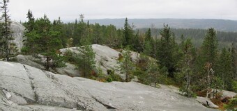 Akka-Koli