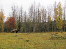 Mäkränaho