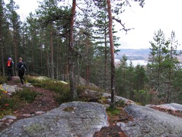 Jauholanvaara