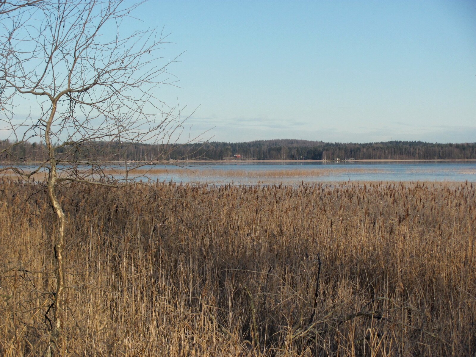 Vaskijärvi