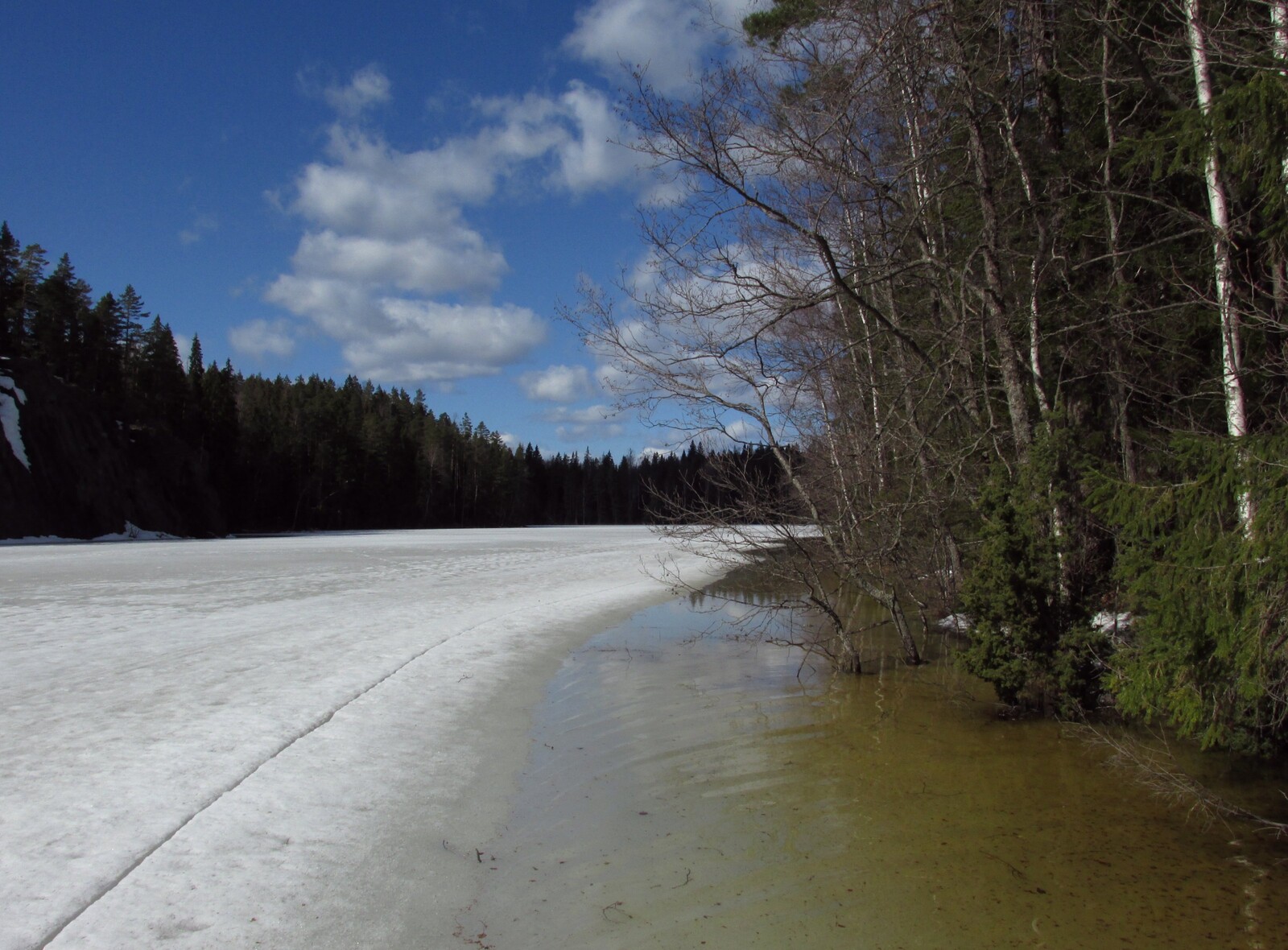 Haukkalampi