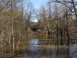 Espoonjoki