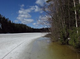 Haukkalampi