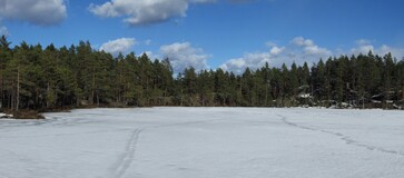 Valkealampi