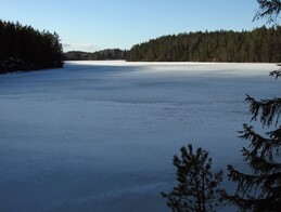 Saarijärvi