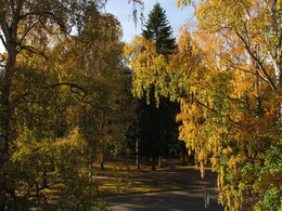    view from my window