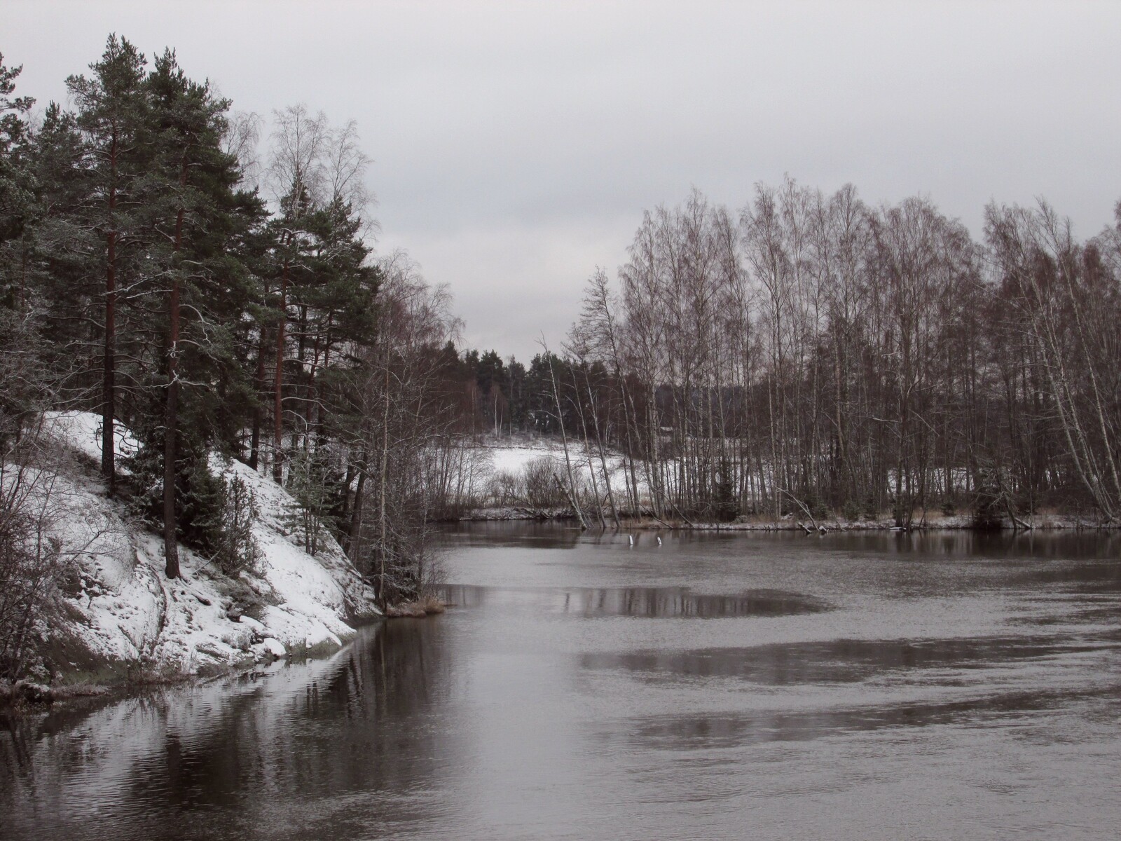 Karjaanjoki