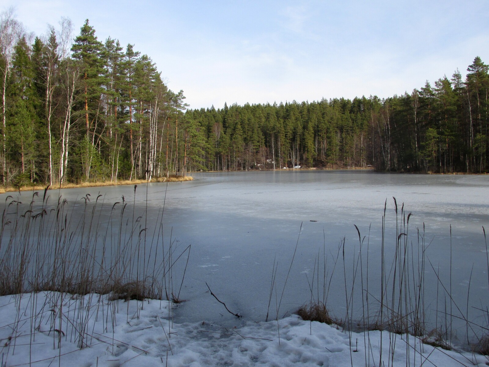 Haukkalampi