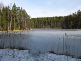 Haukkalampi