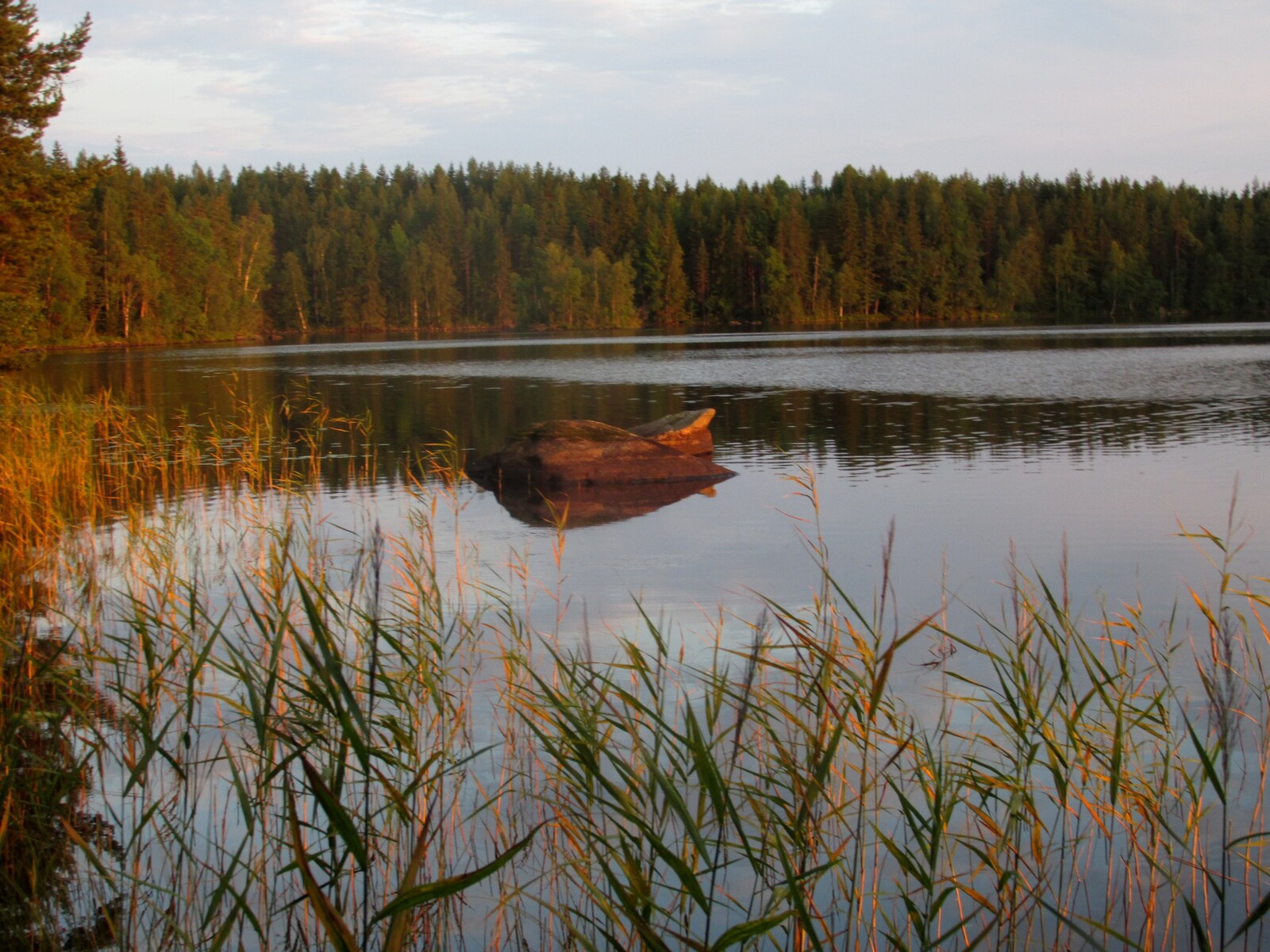 Tapolanjärvi