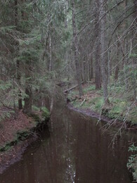  Lehesjoki