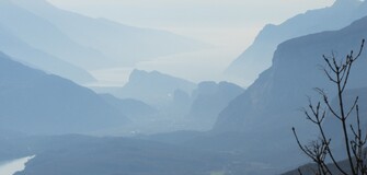     Garda