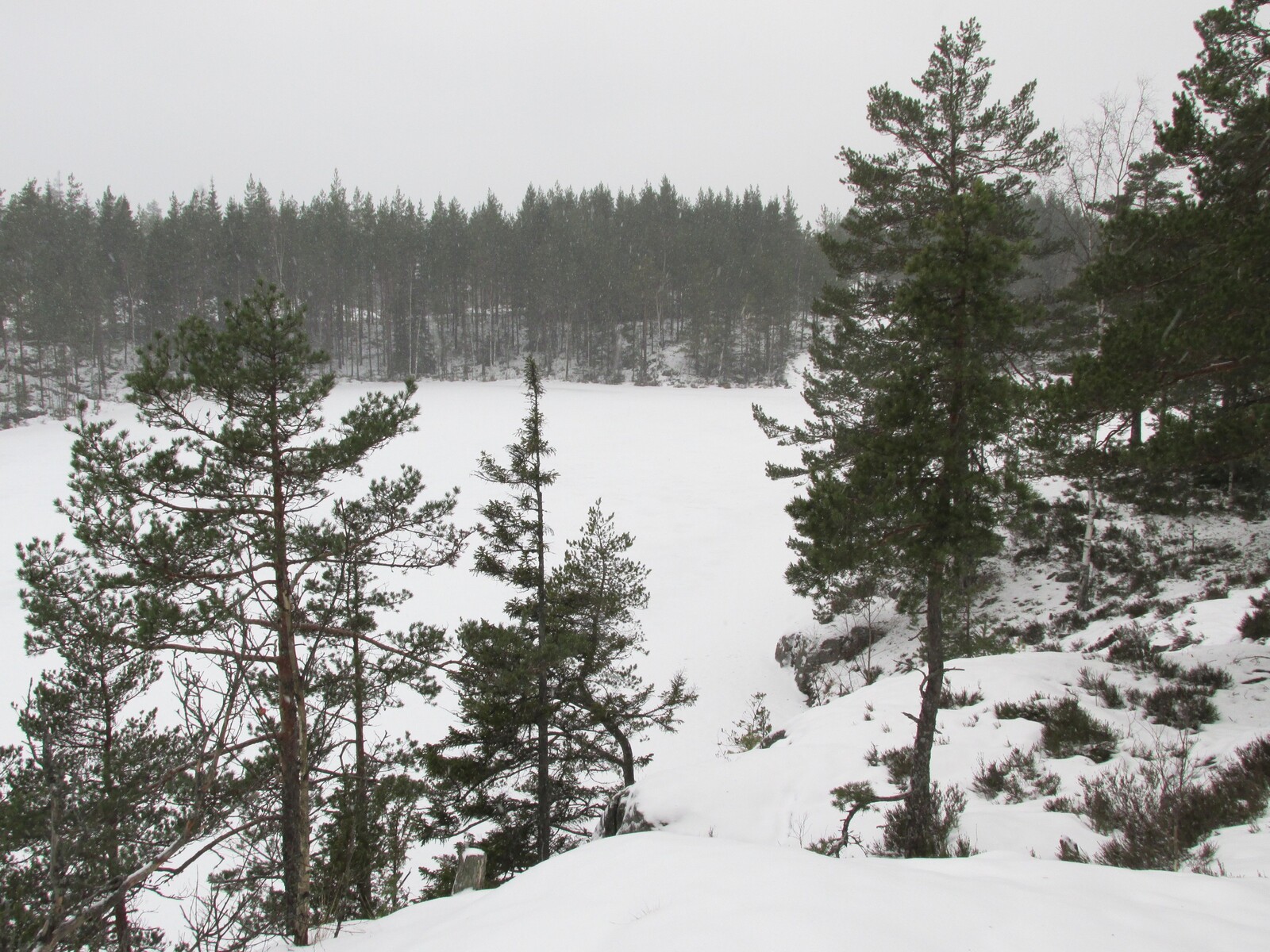  Pitkälammi