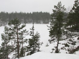  Pitkälammi