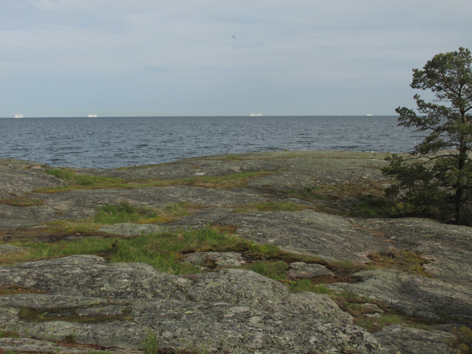 large ships