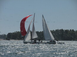race (view from the ferry boat)