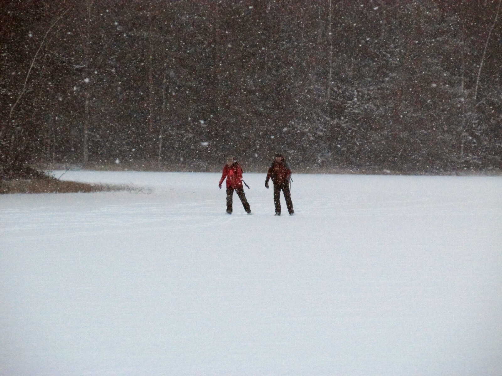  Haukkalampi