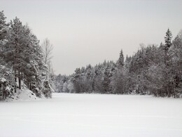      Piktälammi