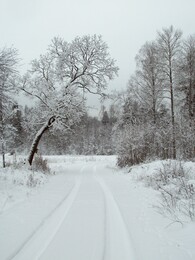 Malmberg,         