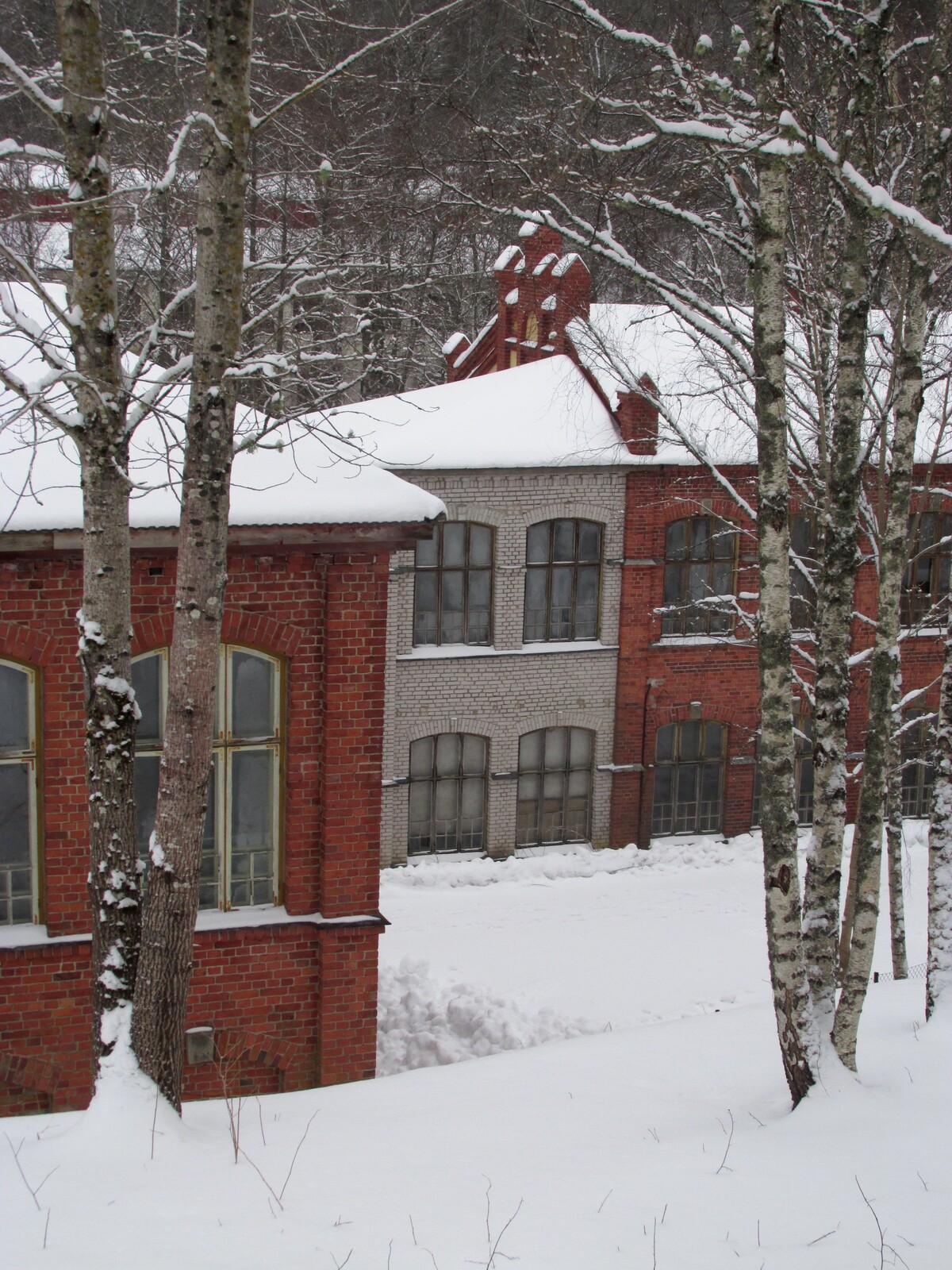 Antskog