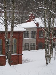 Antskog