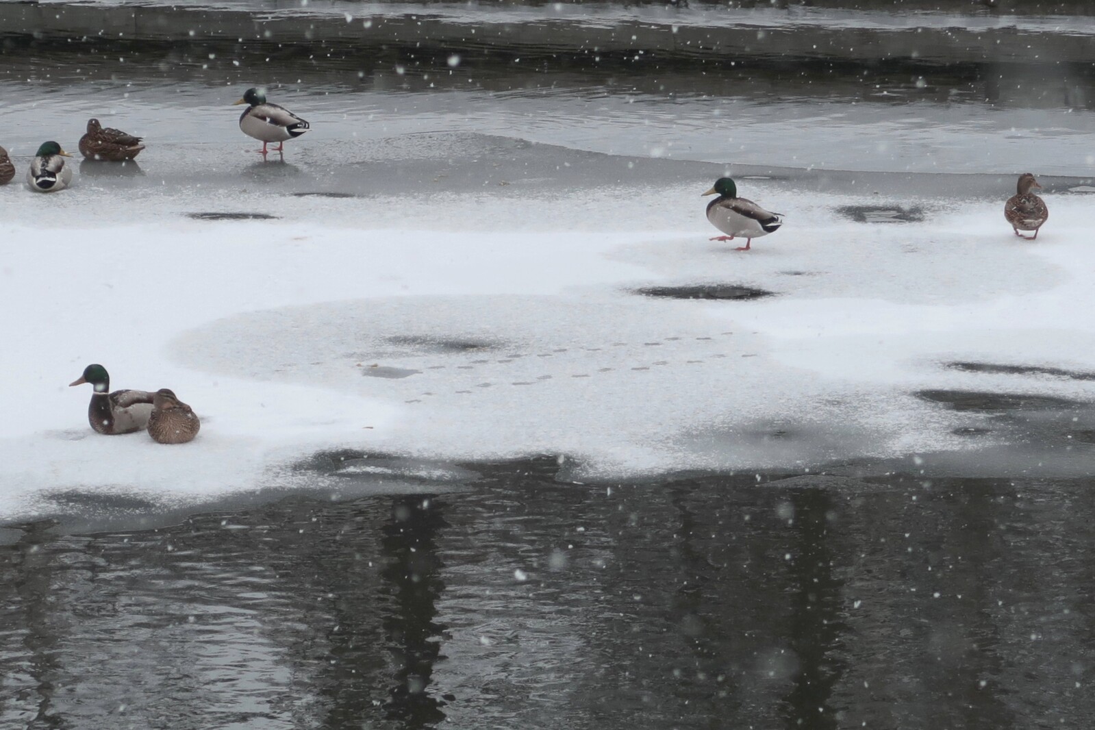     Vääksy