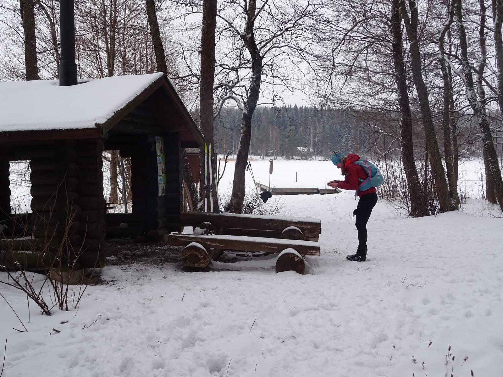     Hiddenvuori.        -     