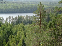    Hertunvouri