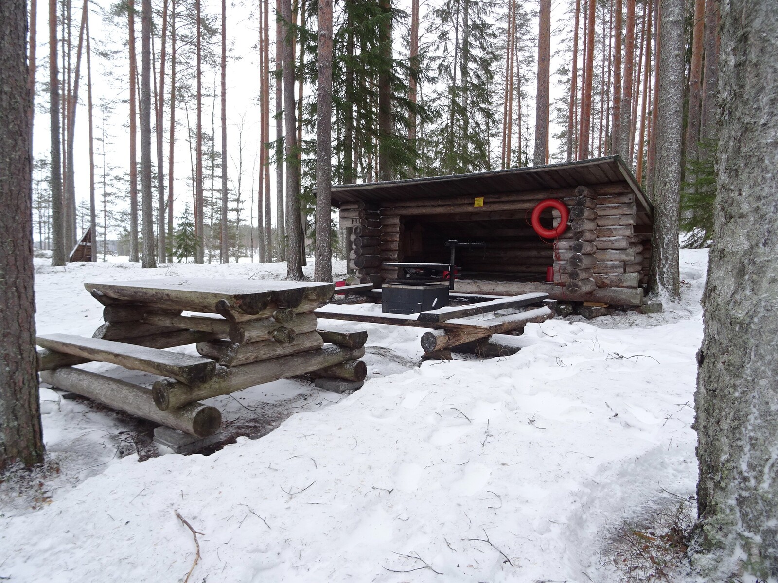  Puukonvuori