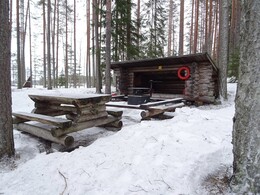  Puukonvuori
