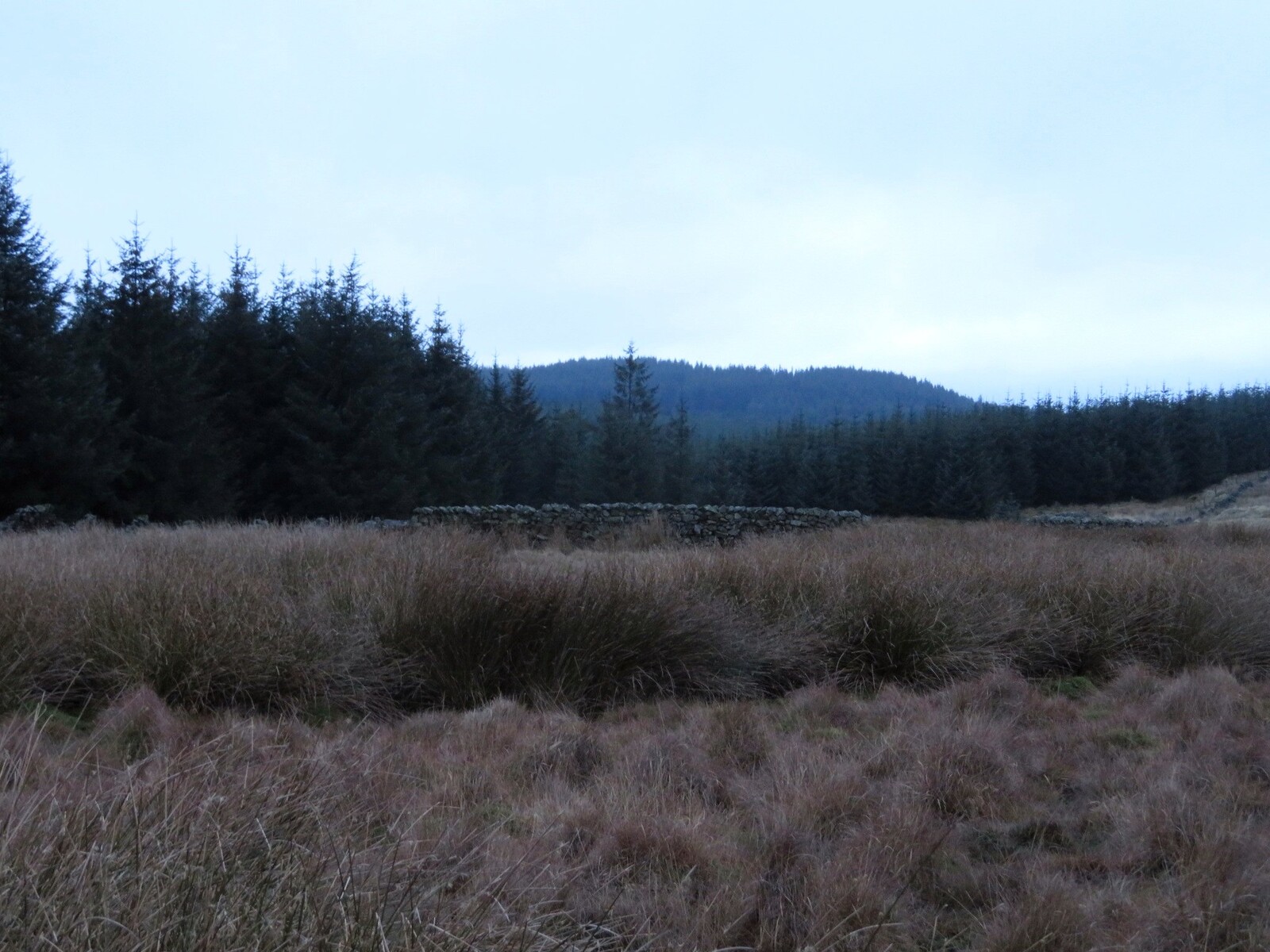  Gisburn