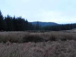  Gisburn