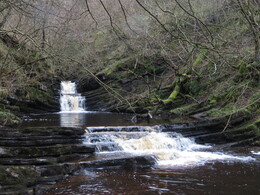   Bottoms Beck