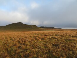 Bowland Knots