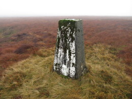  White Hill (544)